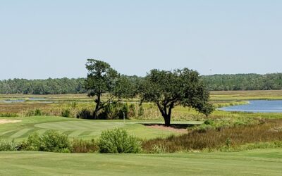 Rivers Edge REOPENS after Hurricane Dorian!!