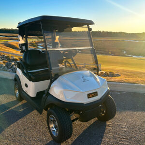 New Golf Cart